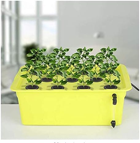 SUCOHANS 50 Pack Cloning Collars Inserts Premium Grade Foam, Cloner Collars, Better Than Neoprene for Hydroponics Plant Germination in DIY Cloner & Clone Machines, Fits 2 Inch Net Cups (Black)