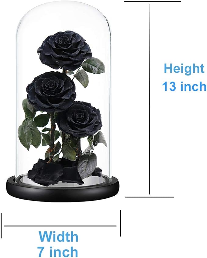 Preserved Roses Handmade Preserved Flowers in Glass Dome, Black Roses Never Withered, Birthday Gifts for Her (13 inch)