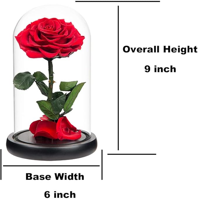 Red Roses Handmade Rose in Glass Dome, Preserved Flowers Never Withered Romantic Gifts for Her, Mother's Day, Birthday Gifts for Women