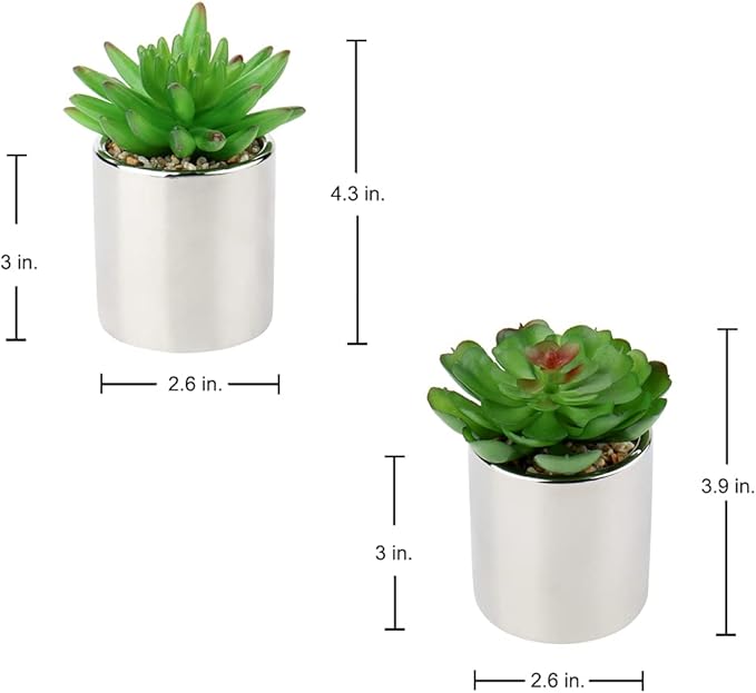 Briful Small Artificial Succulents in Pots Set of 2 Realistic Faux Succulents Plants with Silver Ceramic Pots Cute Mini Fake Plants Decor for Modern Home Table Office Desk Bathroom Shelf Decoration