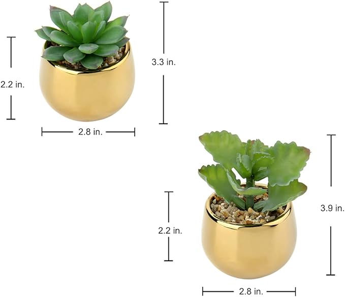 Briful Small Artificial Succulents in Pots Set of 2 Realistic Faux Succulents Plants with Gold Ceramic Pots Cute Mini Fake Plants Decor for Modern Home Table Office Desk Bathroom Shelf Decoration