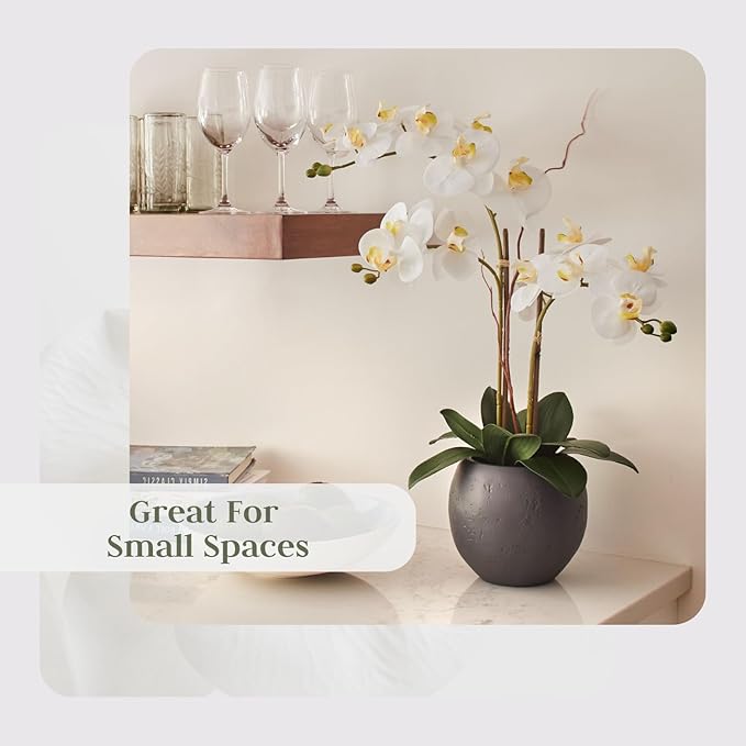 CG Hunter Faux White Orchid Plant, Premium Artificial Indoor Flower Display Stands 25-Inches with Beautiful Sculptural Blooms and Foliage That Lasts Forever, Grey Planter Pot Included