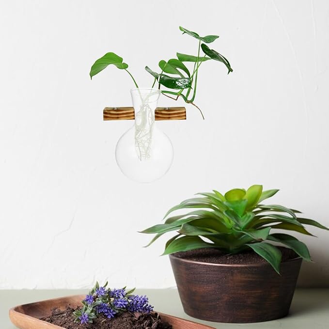 VOSAREA 3pcs Plant Propagation Station Vase Glass Plant Terrarium Hydroponic Vase Air Planter Bulb Succulent Pot Micro Landscape Vessel Desktop Decoration