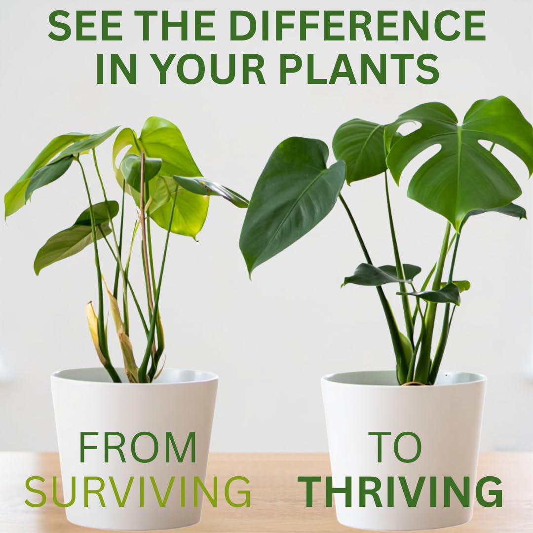 Silica Strength Plant Supplement – Strengthens Stems, Supports Upright Leaves & Improves Stress Resilience | Ready-to-Use 4.5% Liquid Concentrate for Houseplants | 8 oz | Makes 96 Gallons