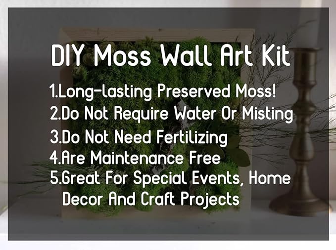 Preserved Pole Moss Pillow Bun Cushion Natural Green Decorative Real Natural Green DIY Kit Terrariums Gardenning Art Wall Decor Florist Decor Easter Table Decor Wedding(15.0 sq.ft., Green-B)