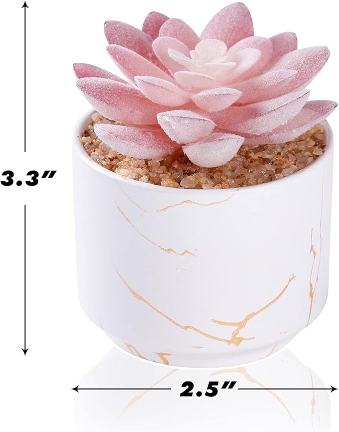 Succulent Artificial Plants,Cute Fake Succulents in 1 White Ceramic Pots,Small Fake Plants for Office,Table,Desk,Bathroom, Bedroom,Aesthetic Room Shelves Decor,Desk Decorations for Women Office