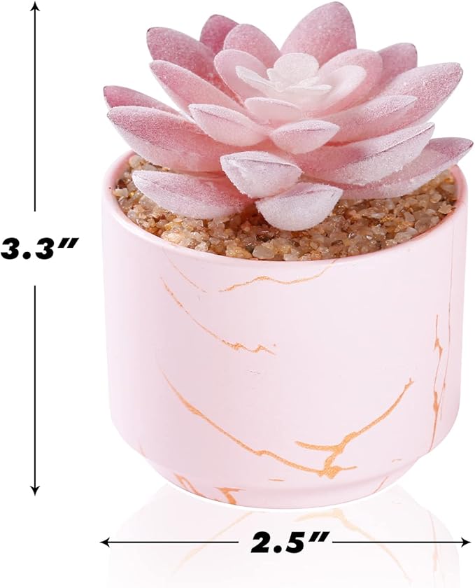 Succulent Artificial Plants,Cute Fake Succulents in 1 Pink Ceramic Pots,Small Fake Plants for Office,Table,Desk,Bathroom, Bedroom,Aesthetic Room Shelves Decor,Desk Decorations for Women Office