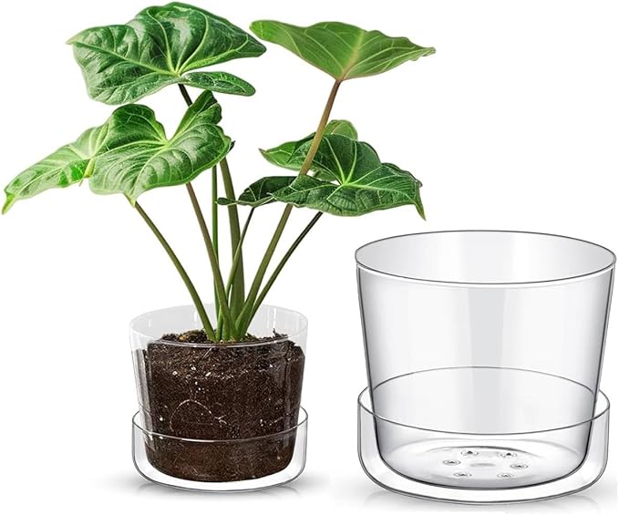 Sheer Glass Pot Planter with Drainage Holes & Tray - Decorative & Modern for All House Plants (4 & 6 Inches)