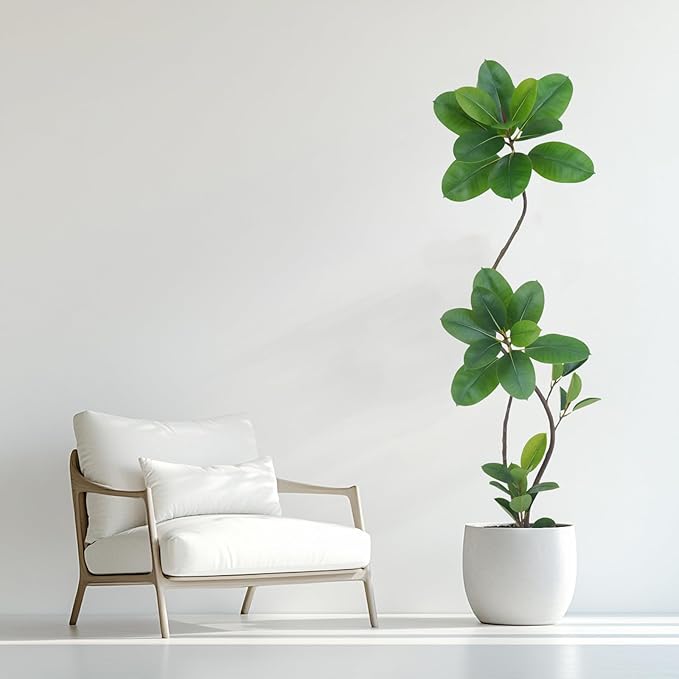 Artificial Rubber Tree Plant, 6ft Tall, Green with Round Planter, All Season Home Decor (Green,6ft)