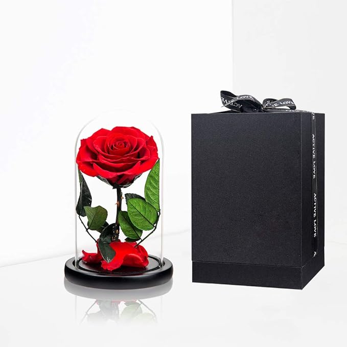 Preserved Roses Red Roses in Glass Dome, Medium, Preserved Flowers for Mothers Day, Gifts for Women