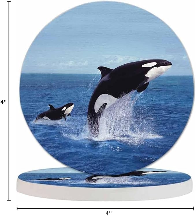 Killer Whale Leaping Drink Coasters Modern Aquatic Animal Jumping Sea Orcinus Orca Ocean Cetacean Housewarming Presentss for New Home Present for Friends,2 Pcs,4 X 4 X 0.35 Inches