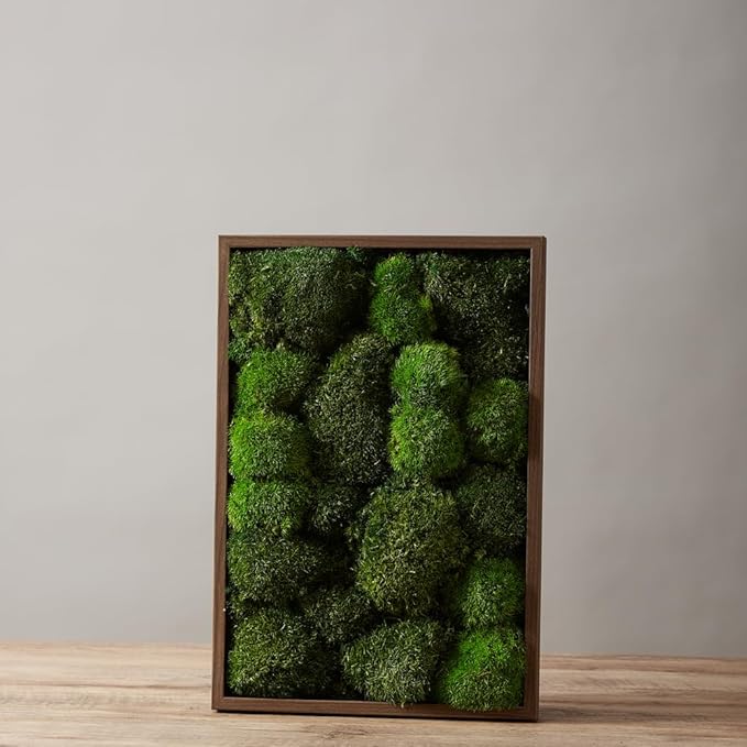 2 Color Mix Pack Preserved Pole Moss Pillow Bun Cushion Natural Decorative Green DIY Kit Art Wall Decor Florist Decor Easter Table Decor Wedding(1.5 sq.ft, Green-A,Green-B)