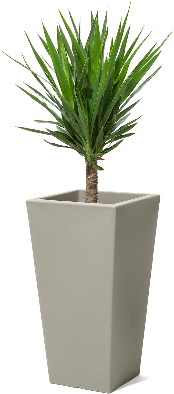 Step2 Tremont Tall Square Tapered Planter, Large Planters for Outdoor Plants, Gardening and Flower Pot for Patio or Porch, Efficient Drainage, Durable Plastic, Concrete, 1-Pack