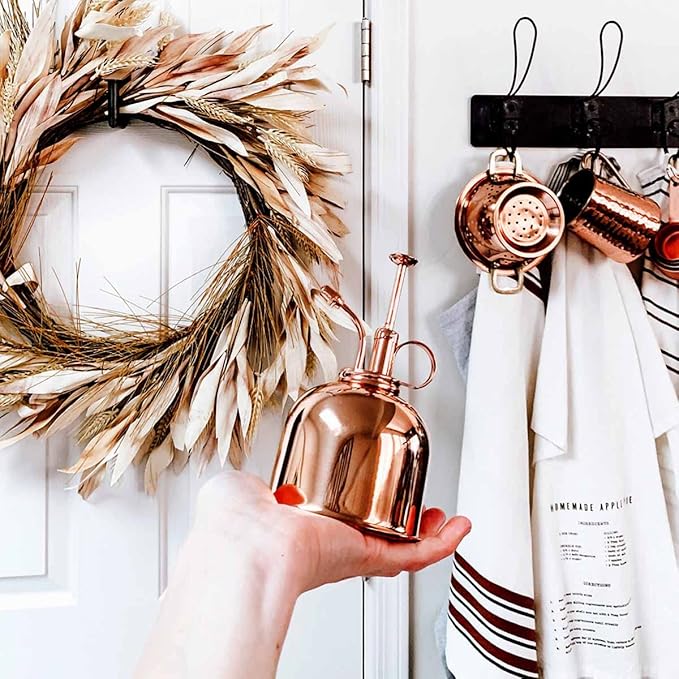 Watering Can Indoor Plants - Copper Plant Mister - Stylish and Rust Resistant Watering Cans for Healthy Hydration - Prevents Overwatering