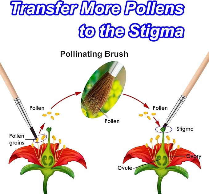 Pollinating Brush for Indoor Hydroponic Garden, Pollination Brushes for Flowering Plants in Greenhouse, Pollinator Brush with Soft Wool for Tomatoes, Peppers, Strawberries, Cucumbers (10 Pack)