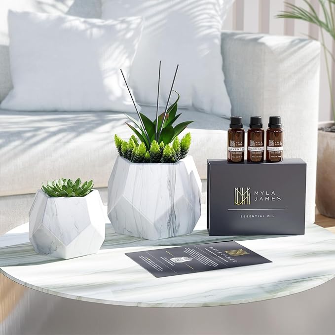 2in1 Reed Diffusers for Home & Faux Succulents Plants Artificial Set-Ceramic Potted Succulents x2 Pcs, Home Fragrance w/Lavender, Lemongrass, Eucalyptus Essential Oilx3 bottles 30ml with 9 Reed Sticks