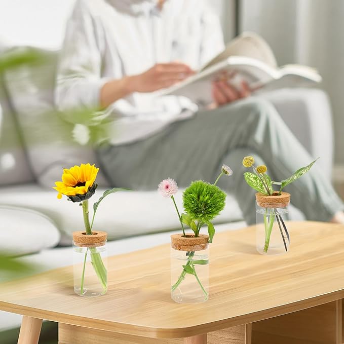 Propagation Stations, Plant Terrarium for Indoor Hydroponic Decor, Glass planters for Fresh Cuttings, Unique Birthday Gifts for Women & Mom, Home/Office Decor