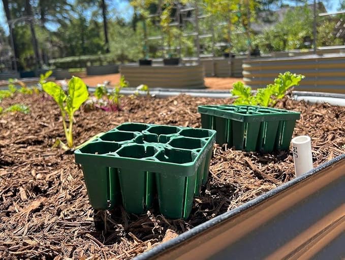 Vego garden Standard Seedling Trays Without Lids, 64 Pack for Seedlings Reusable Propagator Growing Starter Tray, Germination Trays Kit for Greenhouse/Garden (8-Cell per Tray)