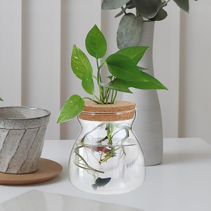 Glass Plant Jar -Plants Propagation Station - - with Wood Lid- Micro Landscape Terrarium Container Desktop Plant Jar Hydroponic Vases Gardening for Plant Lovers(Size)