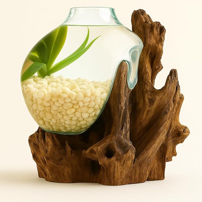 OMA Hand Blown Molten Glass on Driftwood Terrarium Vase or Planter – Recycled Glass & Natural Wood for Coastal & Boho Home Décor (12"–14" High)