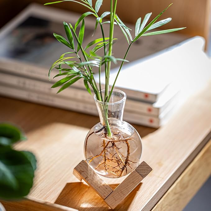 Propagation Stations, Propagation vases with Wooden Stand, Small Tabletop Glass Bulb Vases for Hydroponics Plant Propagation Station Home Office Decoration, Gift for Women Plant Lovers (6)
