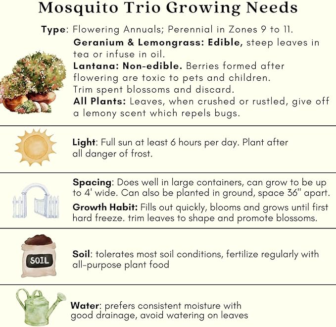 Clovers Garden Mosquito Trio Nine (9) Mosquito Repellent Live Plants – Non-GMO - Each 4" to 8" Tall – in 4" Inch Pots - Includes Citronella Geranium, Lemongrass, Lantana Plants (3 of Each)