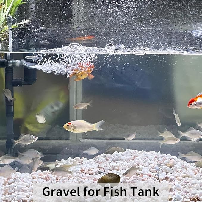 2 lbs White River Rocks for Plants, 3/8 Inch Gravel Pebbles for Plants. Decorative White Stones for Succulents, Cactus, Vase and Outdoor Garden Landscaping