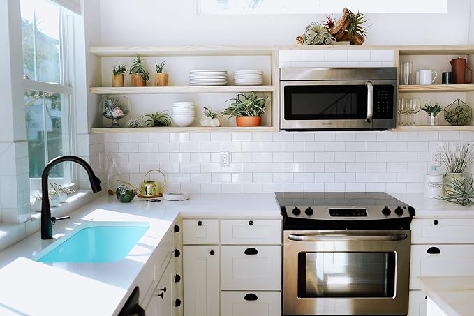 Air Plant Shop Large Bulbosa Belize Air Plants - Succulents - Live Tillandsia - Easy Care Indoor and Outdoor House Plants (Pack of 1)