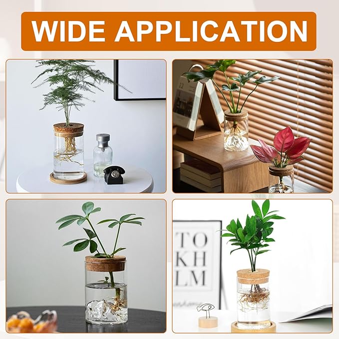 6 Pcs Plant Propagation Terrarium Glass Propagation Vase Containers with Cork and Wooden Saucer for Hydroponic Plants Tabletop Decoration Jars for Plants (2.56 x 4 Inch)