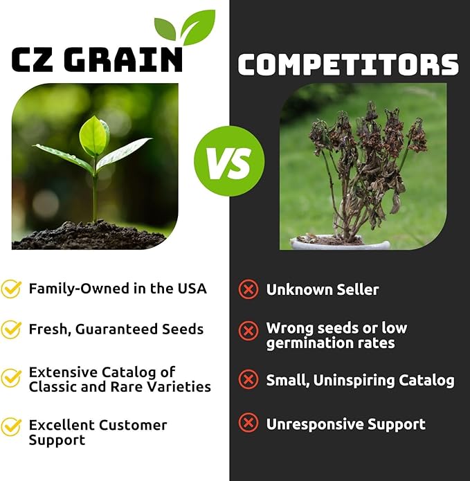 NJoy Pothos – Live Plant in 2 Inch Pot - Air Purifier Plant to Make Your House Healthier