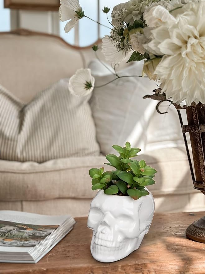 Small Fake Succulents Plants Artificial Succulents in Pots Set of 2 Mini Succulent Plant Realistic Faux Plants Skull Artificial Succulent Plants for Home Office Table Bedroom Bathroom Shelf Decor