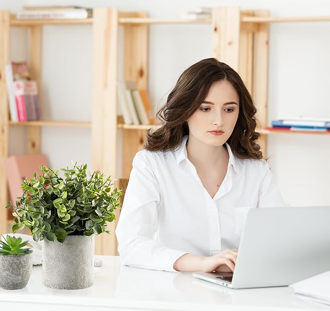 Lemonfilter 4 Pack Fake Plants, Small Eucalyptus Rosemary Succulents Artificial Mini Faux Potted Plants Fake Plant Indoor for Home Bathroom Bedroom Office Desk Desk Shelf Decor