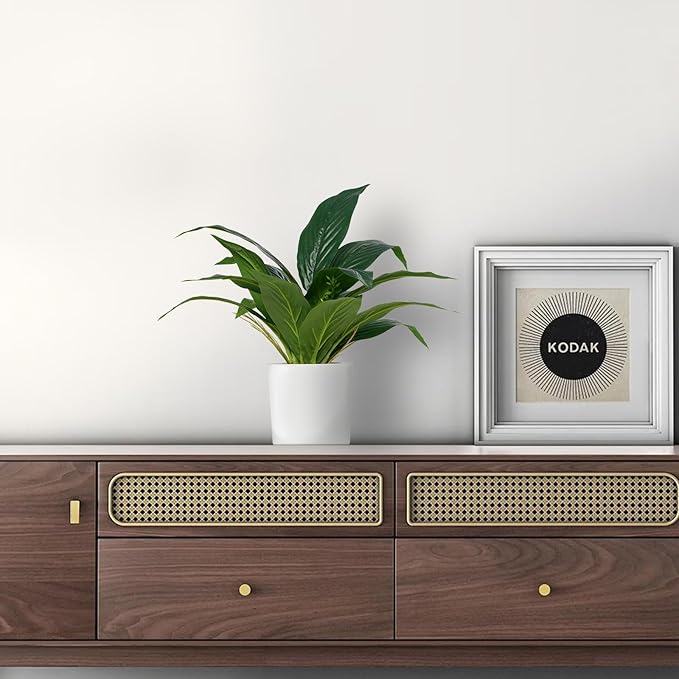 Artificial Fake Snake Plant Potted Tropical Faux Sansevieria Trifasciata Plants in White Plastic Pots Perfect for Indoor Home Decor Modern Living Room Office Housewarming Gift,Dark Green