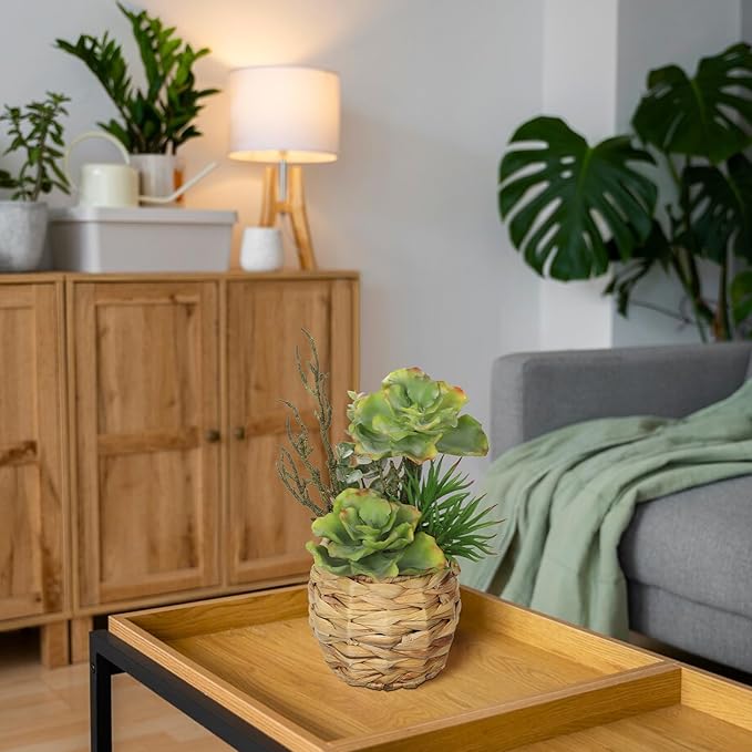 10" Large Succulents Plants Artificial in Wooden Pots, Potted Faux Succulent Arrangement with Woven Pots, Fake Desk Succulents Plants for Home Bathroom Shelf Table Indoor Decor