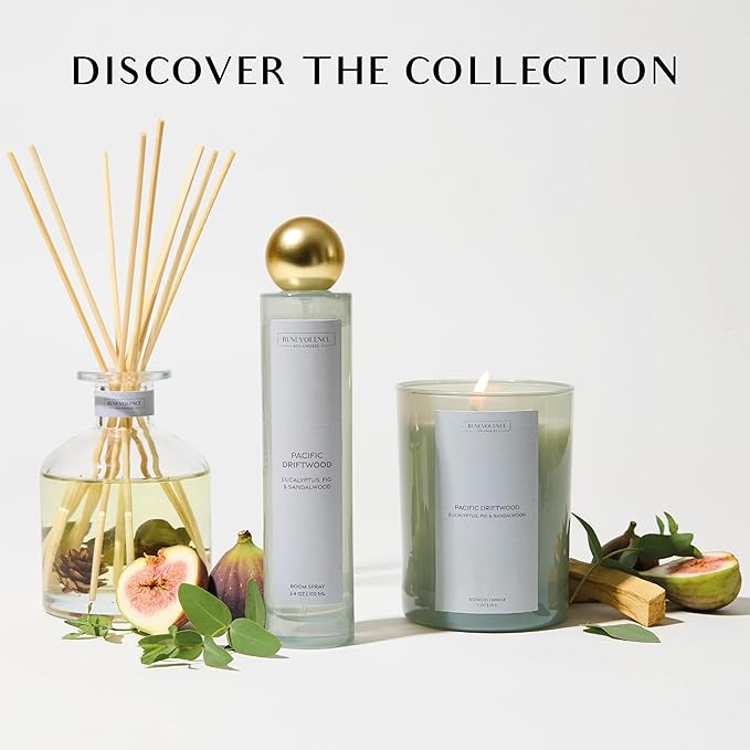 Benevolence LA Pacific Driftwood Reed Diffuser | Eucalyptus, Fig & Sandalwood | Home Fragrance Diffuser for Bathroom | Long-Lasting Scent Sticks | Sun-Kissed Collection