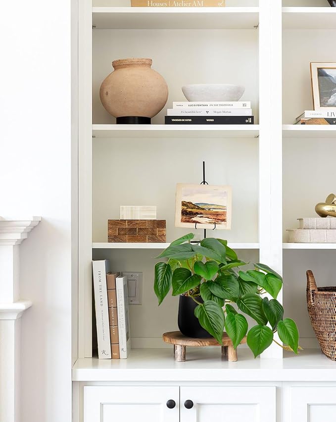 DILATATA Fake Plants Indoor 8 Inch Artificial Pothos Plant in Black Ceramic Pot - Faux Potted Pothos Plant for Home Aesthetic Decor Living Room Shelf Office