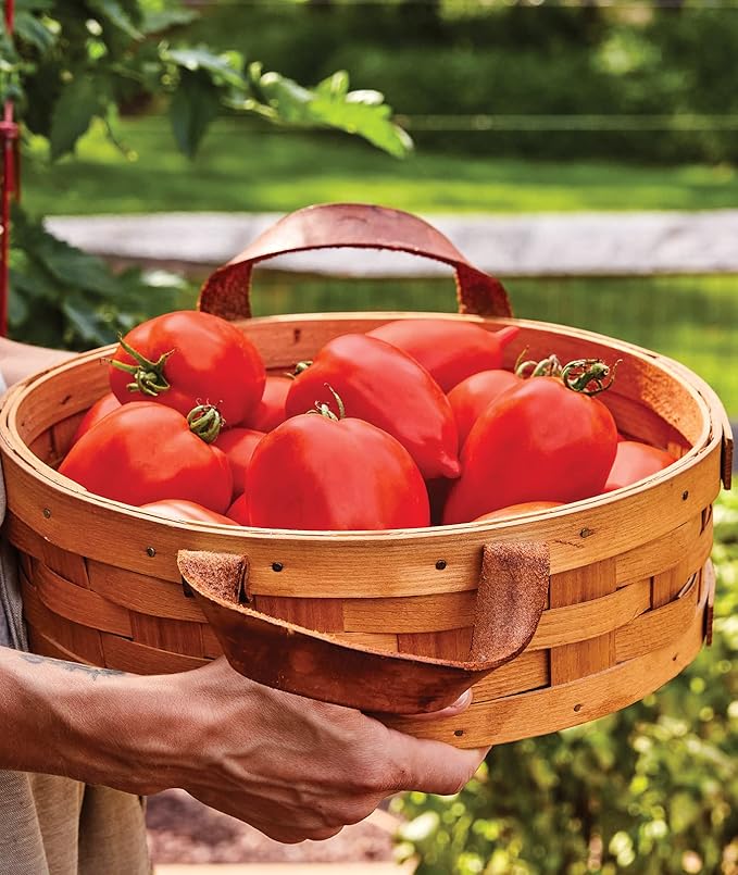 Burpee 'Big Mama' Hybrid, Large Red Paste Tomato, 50 Non-GMO Seeds