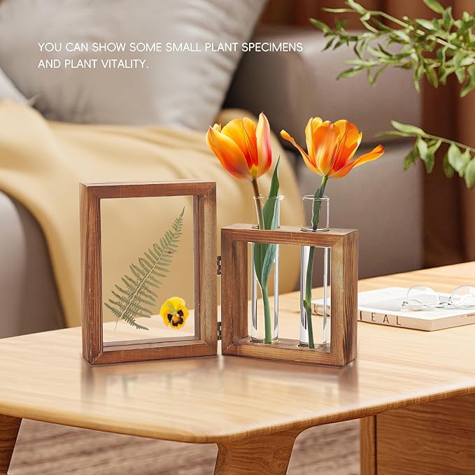 Plant Propagation Stations, Propagation Vases for Plants with Photo Frame and Glass Planters Indoor Plant Stand Hydroponic Propagation Stations Tabletop Home Kitchen Office Decor