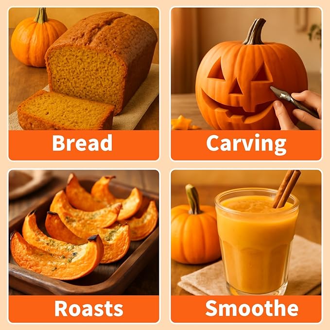 200+ Pumpkin Seeds for Planting - 10 Variety Jack Be Little, Jack O Lantern, Sugar Pie, Blue Jarrahdale, Baby Boo, Great for Halloween Pumpkin Seed for Indoor & Outdoor, Non GMO Seed Collection