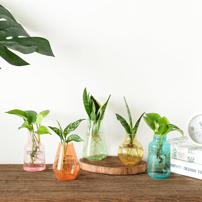 Mkono Propagation Vases for Plants, Set of 5 Small Glass Jar Planters for Hydroponic Cutting Flowers, Plant Station Bud Vases for Centerpieces Home Office Decor Gift (Colorful)