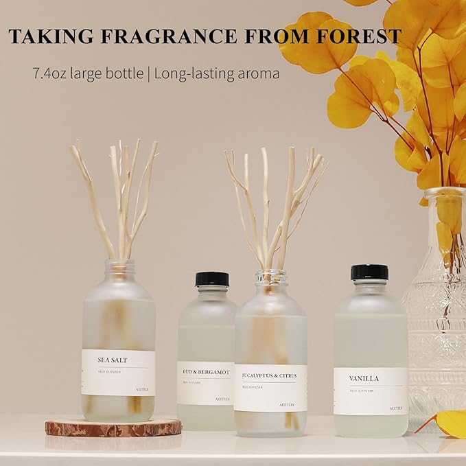 White Birch & Cedar Reed Diffuser, 7.4oz(220ml) Large Bottle Essential Oils, Scented Oil Refill for Waterless Diffuser, Air Freshener for Bathroom with Willow Branches Decor (1-Pack)