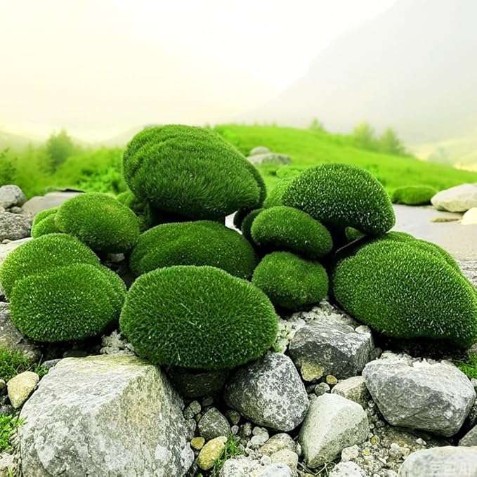 6 PCS Artificial Moss Rocks Decorative, Green Moss Balls,Moss Stones, Green Moss Covered Stones, Fake Moss Decor for Floral Arrangements, Fairy Gardens and Crafting