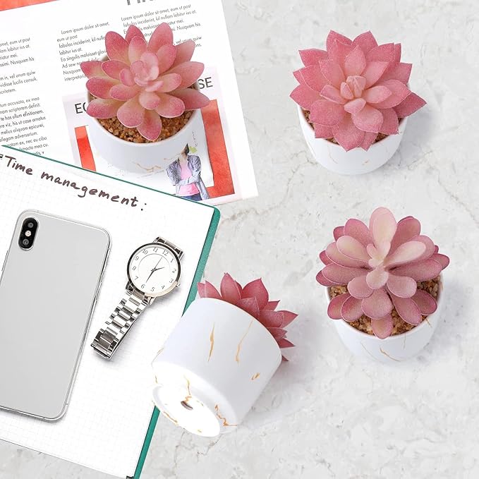 Succulent Artificial Plants,Cute Fake Succulents in 4 White Ceramic Pots,Small Fake Plants for Office,Table,Desk,Bathroom, Bedroom,Aesthetic Room Shelves Decor,Desk Decorations for Women Office
