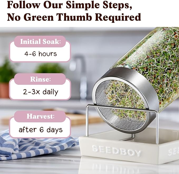 Seedboy Organic Clover Seeds for Sprouting - Non-GMO, USA Grown Microgreens Sprouting Seeds Mix - Makes 8 Quarts of Sprouts, 24 Servings (8 oz) (Red Clover)