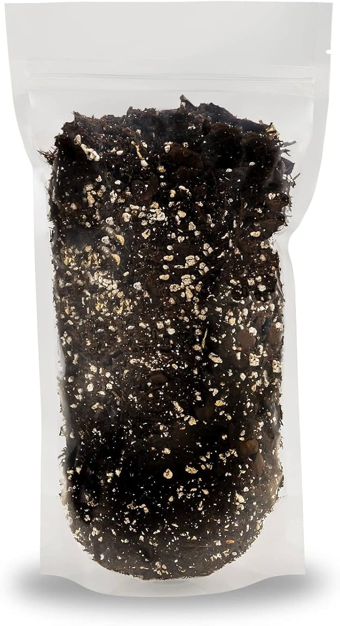 Alocasia Plant Potting Soil - All-Natural Blend for Thriving Alocasia Plants - Boosts Root Health and Distinctive Foliage - 10 Quart