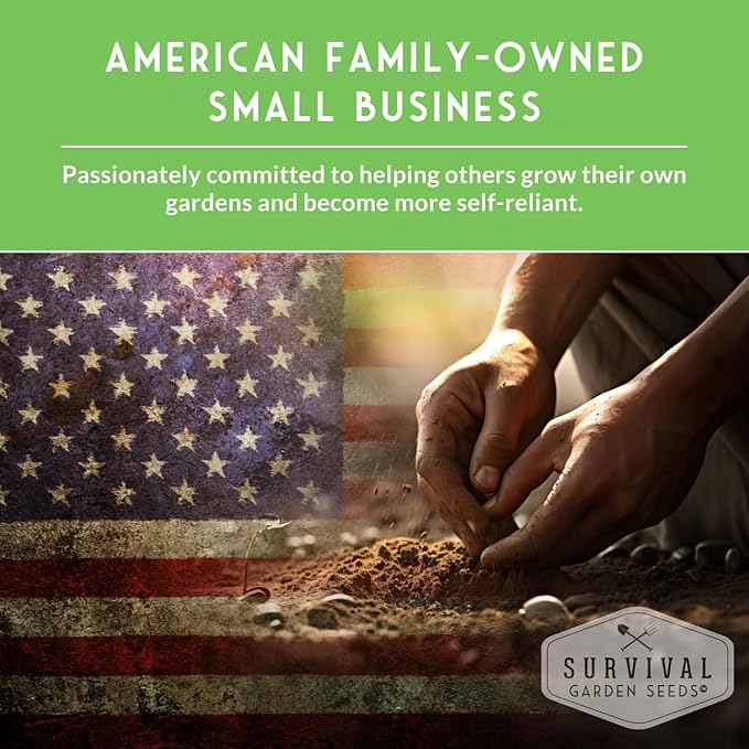 Survival Garden Seeds - Bergamot Herb (Bee Balm) Seed for Planting - 2 Packets with Instructions to Grow Monarda Fistulosa Wildflowers in Your Home Vegetable Garden - Non-GMO Heirloom Variety