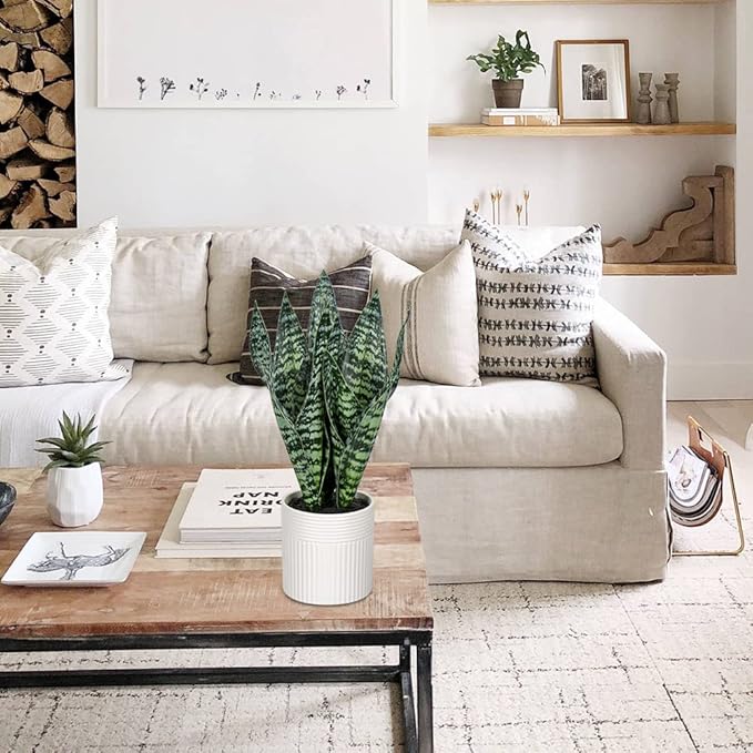 Briful 14'' Fake Snake Plant Home Decor Real Touch Faux Sansevieria Plant in White Ceramic Pot Artificial Snake Plant with Wide Leaves for Home Kitchen Office Living Room Bathroom Decorations