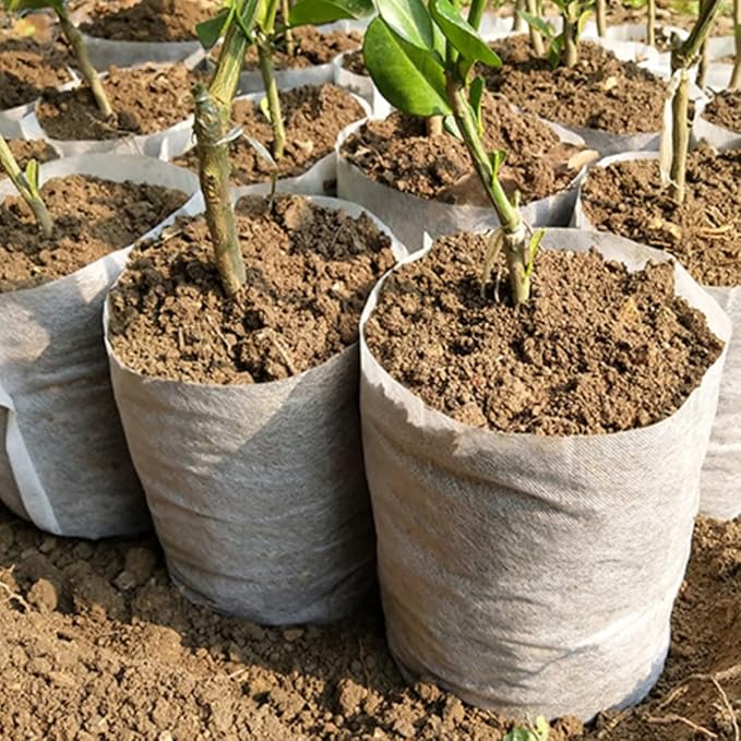 gardtree Plant Nursery Bags 11.7” x 13.5” 100PCS, Non-Woven Biodegradable Plant Grow Bags Fabric Seedling Starter for Vegetable Flower Fruit Saplings Tree, Home Garden Supply