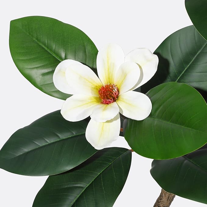 Rubber Tree 5 ft Artificial Tree in White Planter Pot, Faux Plants Indoor Faux Floor Plant Artificial Plants with 7 Pcs Magnolia Flowers for Home Decor, Artificial Fiddle Leaf Fig Tree for Office