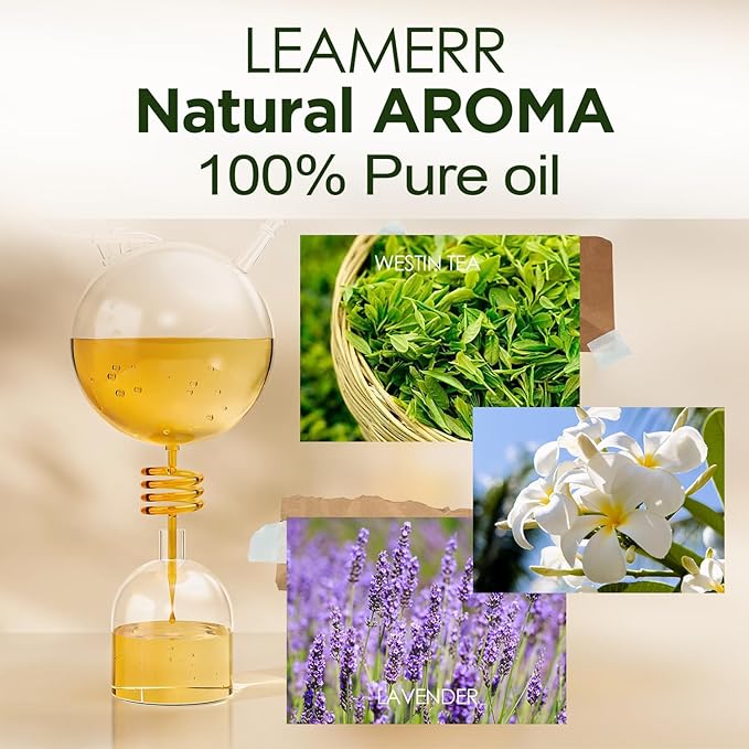 Reed Diffuser Sets, 4oz (120mL)- White Tea Reed Diffuser Oils, with 5 Reed Sticks, Home Fragrance Reed Diffuser for Bathroom Shelf Decoration.